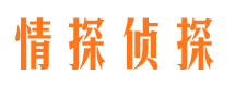 船山市婚外情调查